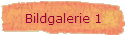 Bildgalerie 1