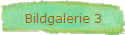 Bildgalerie 3