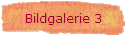 Bildgalerie 3